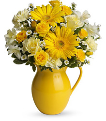 Teleflora's Sunny Day Pitcher of Cheer from Victor Mathis Florist in Louisville, KY